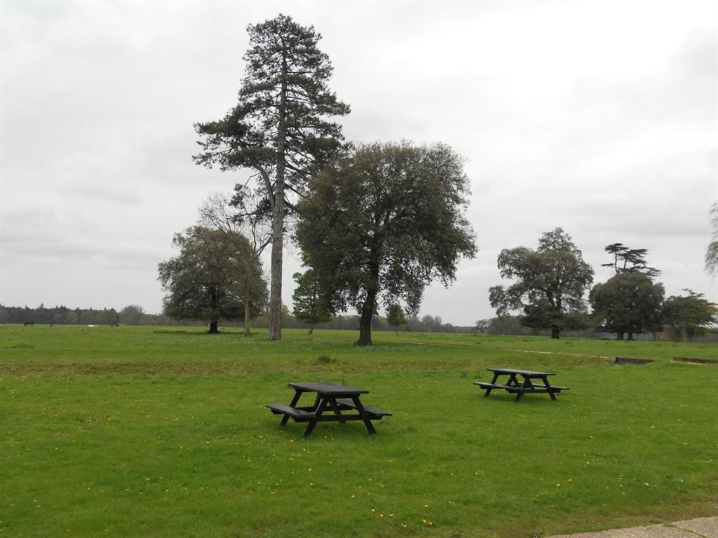 The Stables At Henham Park Bed and Breakfast Southwold Buitenkant foto